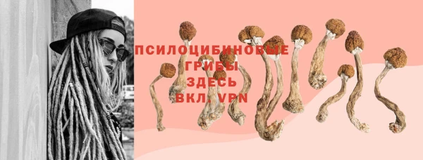прущие крисы Дмитриев