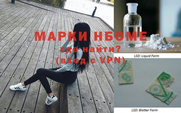 СК Дмитров