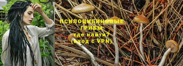 прущие крисы Дмитриев