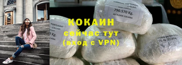 СК Дмитров