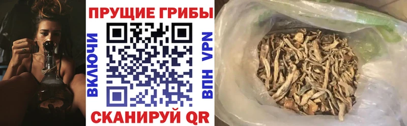 Галлюциногенные грибы прущие грибы Цивильск