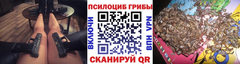 Купить  Цивильск  Псилоцибиновые грибы Magic Shrooms 